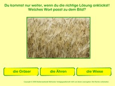 Natur-3.pdf